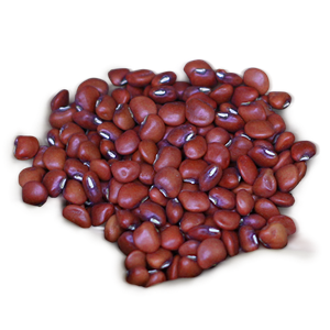 Kidney beans PNG-56919